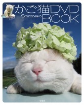 かご猫DVD BOOK