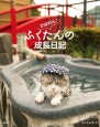 フロ猫・ふくたん本日もまったり成長中