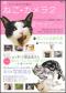 ねこカメラ２