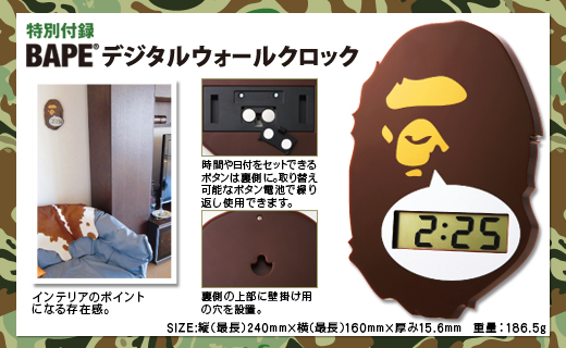 *A BATHING APE(R) 2011 SPRING COLLECTION