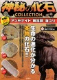 神秘の化石COLLECTION　アンモナイト＋腕足類＋海ユリ