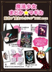 魔法少女まどか☆マギカ　魅惑の“魔女コレクション”BOX BOOK