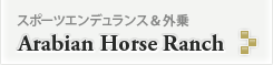 Arabian Horse Ranch