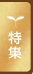 特集