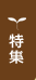 特集