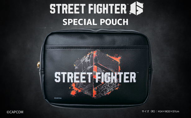 STREET FIGHTER 6 FAN BOOK