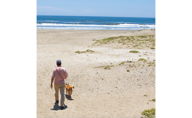 TJムック「海辺の犬。」