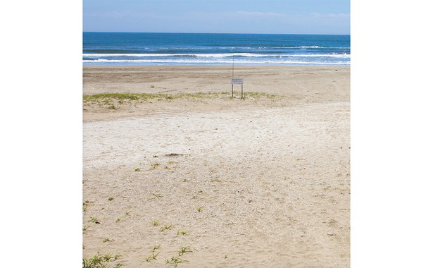 TJムック「海辺の犬。」