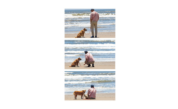 TJムック「海辺の犬。」