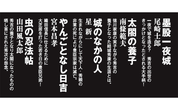 傑作歴史小説! 豊臣家の野心