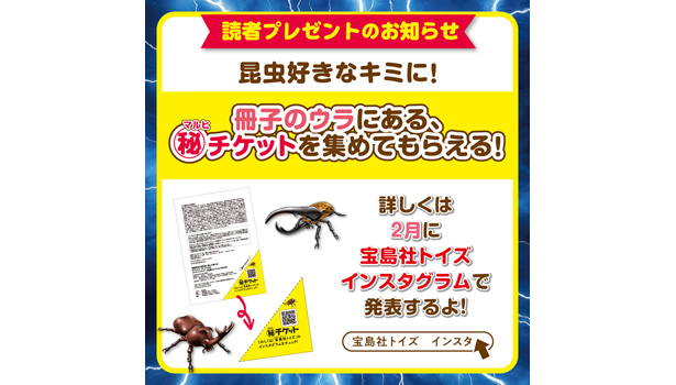 最強昆虫王者決定! 掘って遊べる カブトムシ VS クワガタ　リアルフィギュア大乱闘コレクションBOOK
