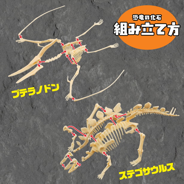 掘って組み立て! 恐竜の化石 発掘BOOK