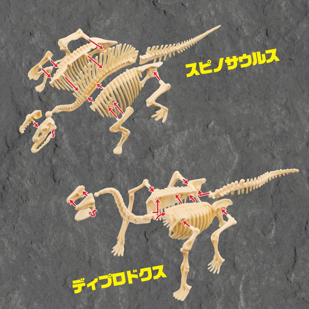 掘って組み立て! 恐竜の化石 発掘BOOK
