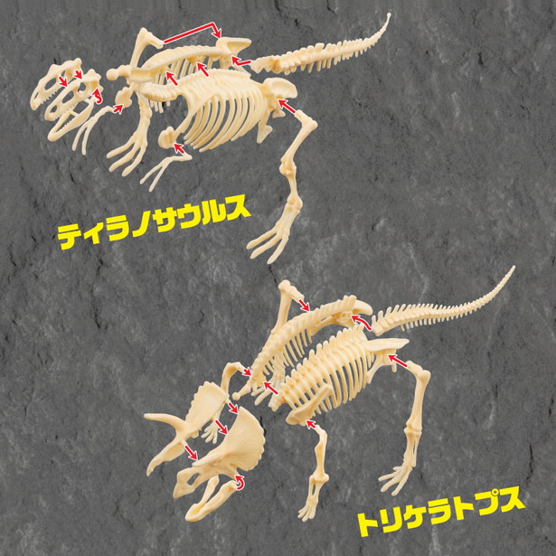 掘って組み立て! 恐竜の化石 発掘BOOK