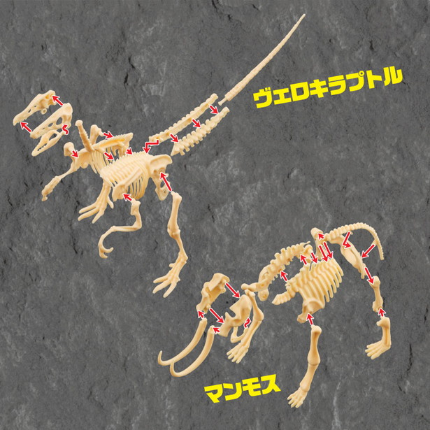 掘って組み立て! 恐竜の化石 発掘BOOK