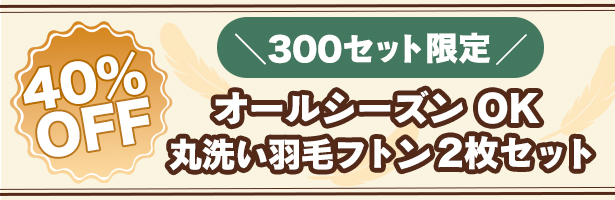 天使の深睡眠羽毛フトン 生成り色 2枚セット