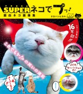 Super ネコでプッ 面白ネコ画像集 宝島社の公式webサイト 宝島チャンネル