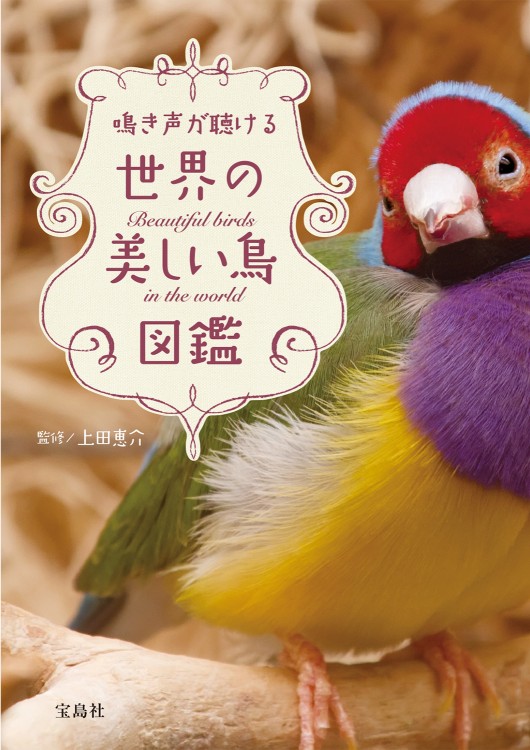 鳴き声が聴ける 世界の美しい鳥図鑑 宝島社の公式webサイト 宝島チャンネル