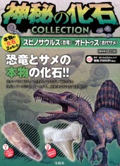 神秘の化石COLLECTION　スピノサウルス（恐竜）＋オトドゥス（古代サメ）