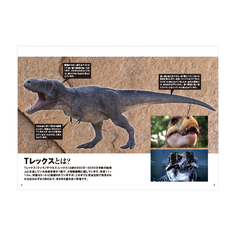 恐竜の不思議 よみがえるtレックス Dvd Book 宝島社の公式webサイト 宝島チャンネル
