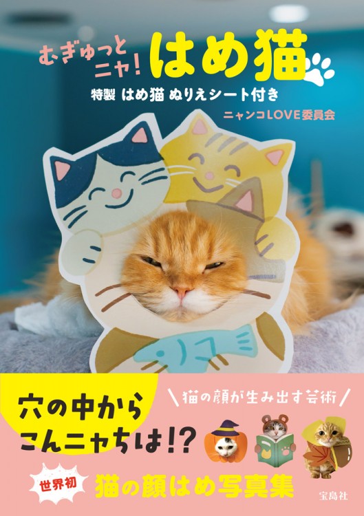 むぎゅっとニャ はめ猫 特製はめ猫ぬりえシート付き 宝島社の公式webサイト 宝島チャンネル