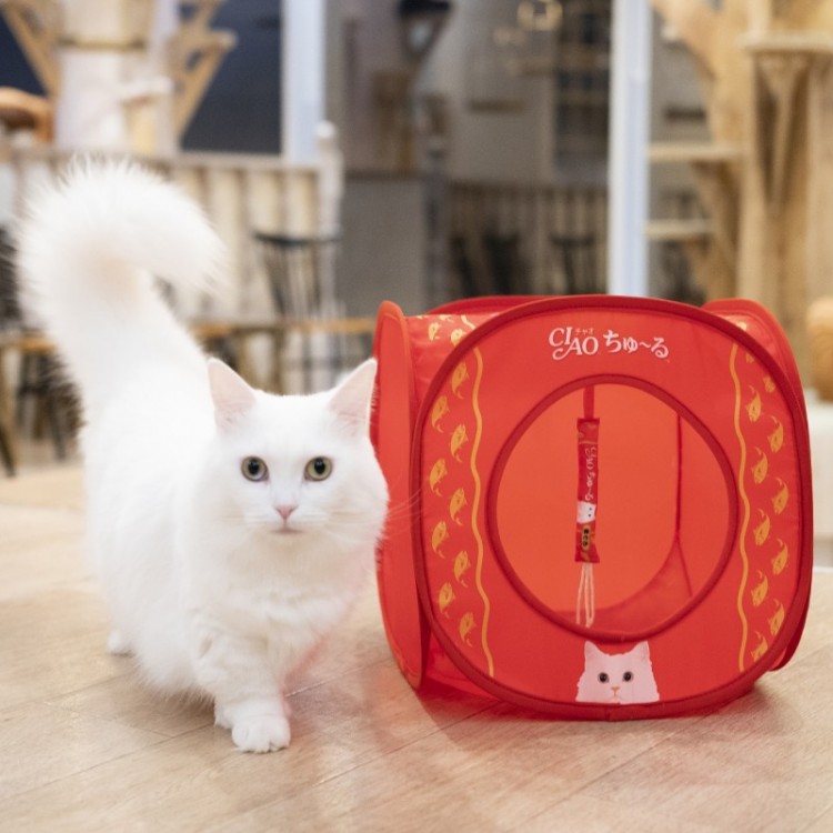 CIAO ちゅ～る 世界の猫を喜ばす キャットハウス BOOK SPECIAL PACKAGE