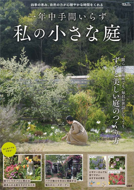 一年中手間いらず 私の小さな庭