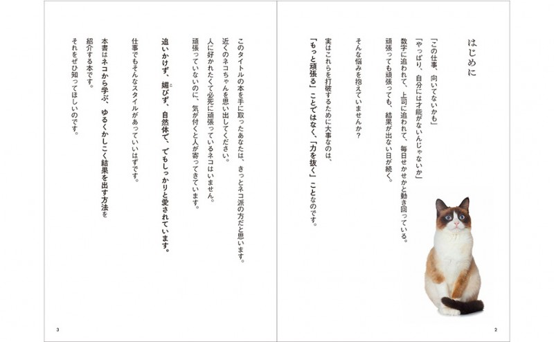 ニャンとかなるネコ流仕事術│宝島社の通販 宝島チャンネル