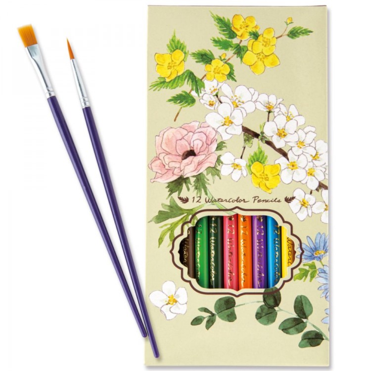 水彩色鉛筆つき 美しい花ぬり絵