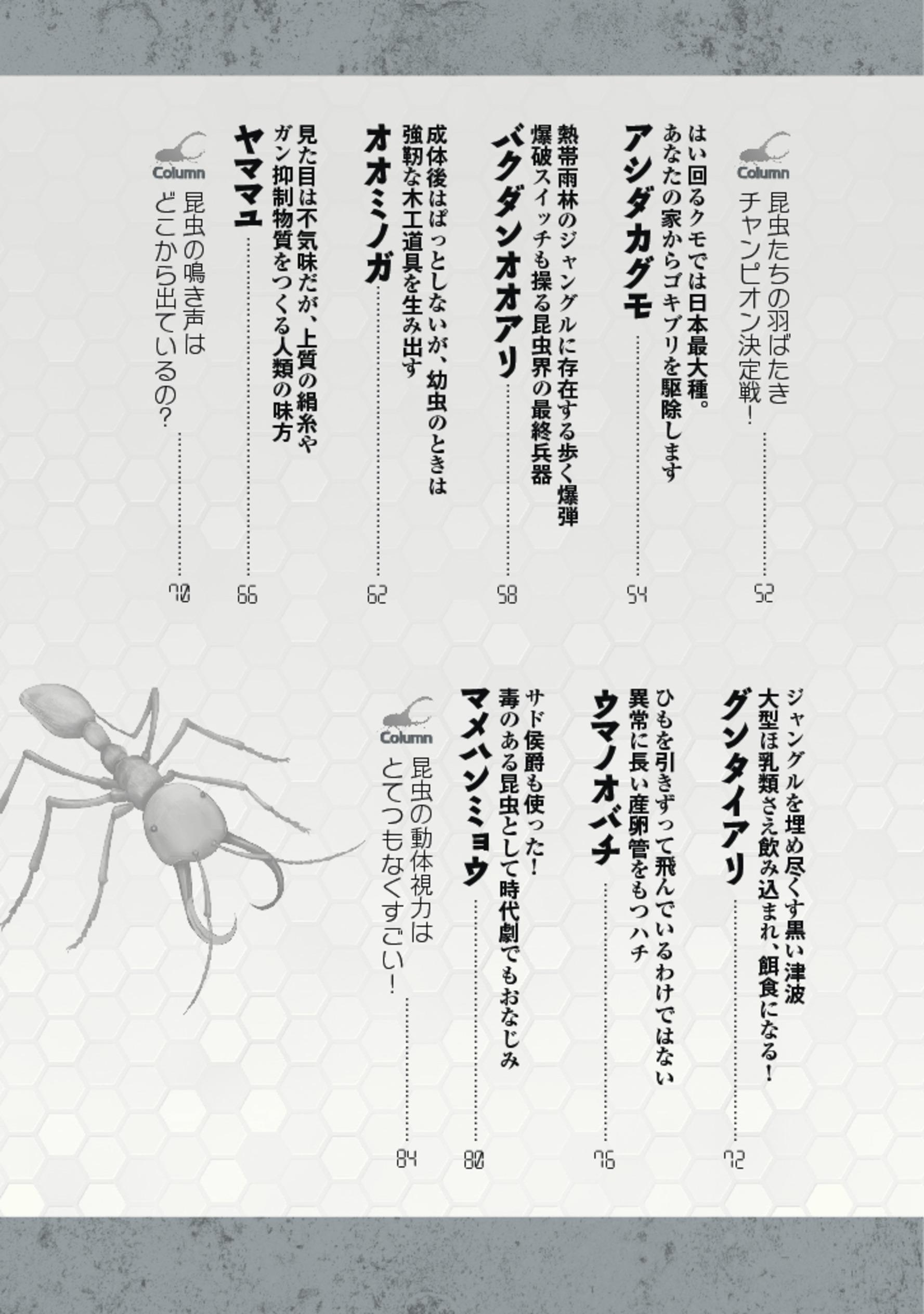 中身を見る