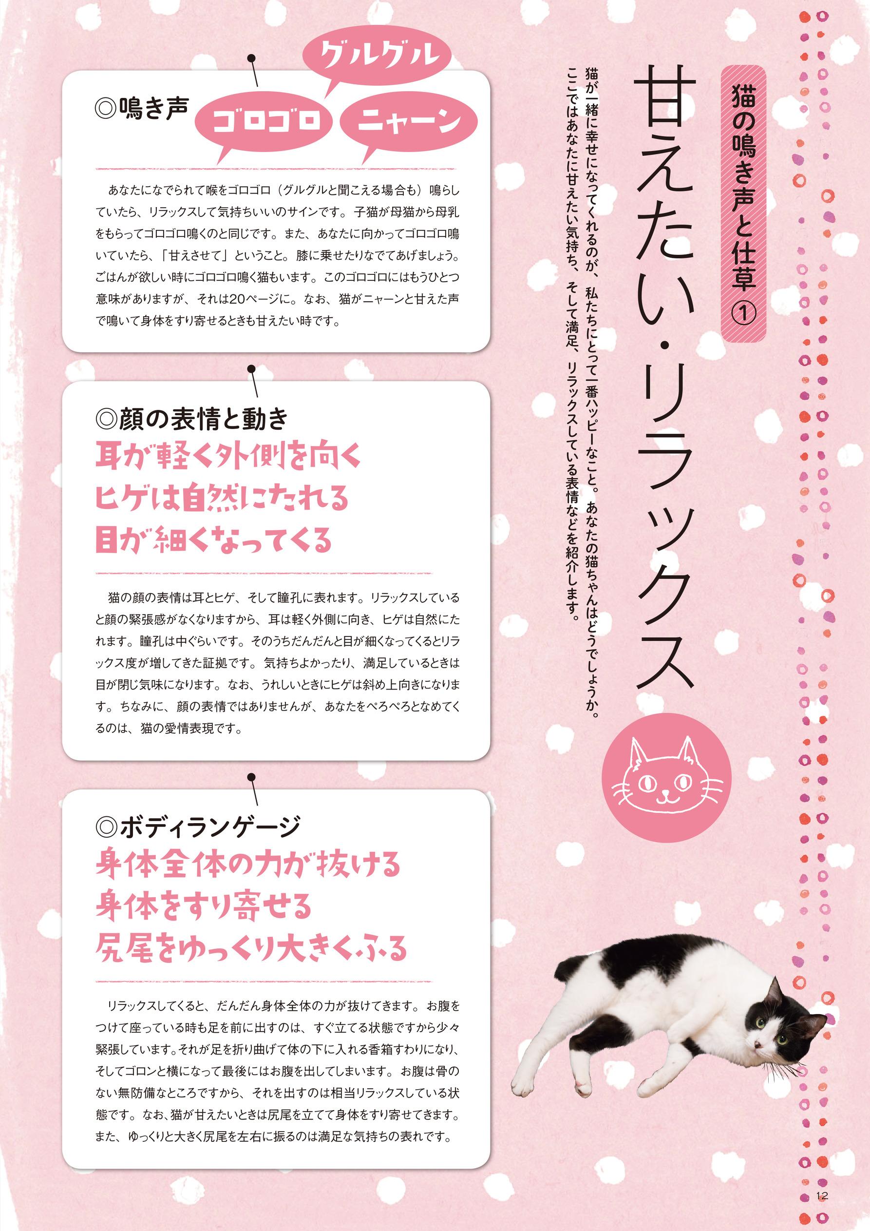 中身を見る