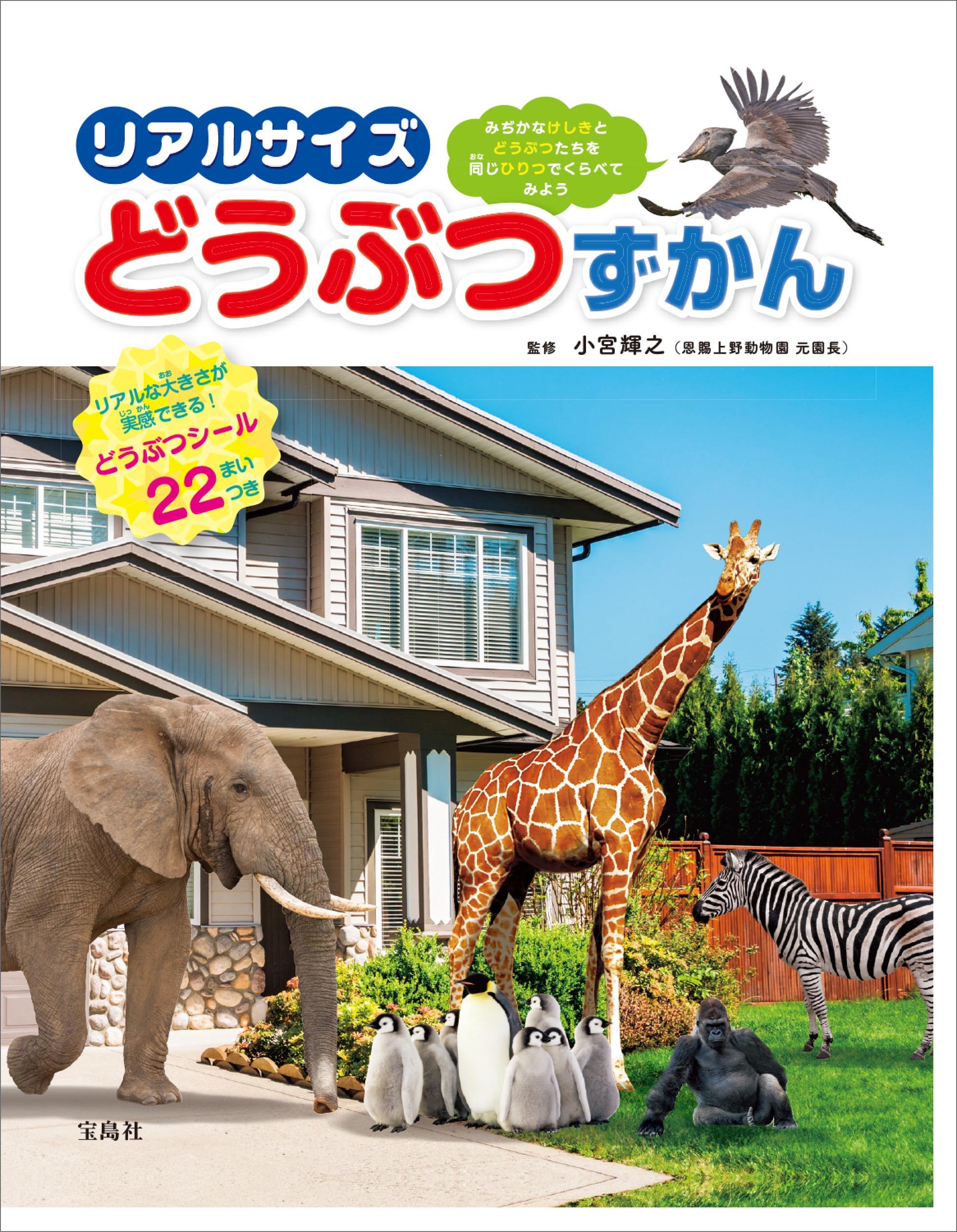 中身を見る