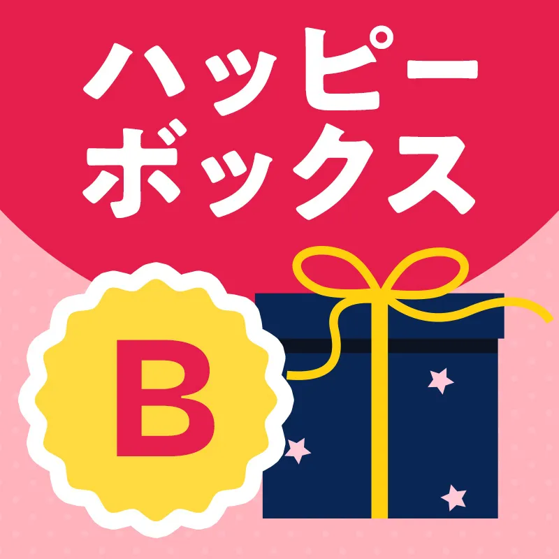 ハッピーボックスB