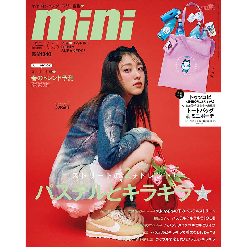 mini 雑誌 3 月 号 付録