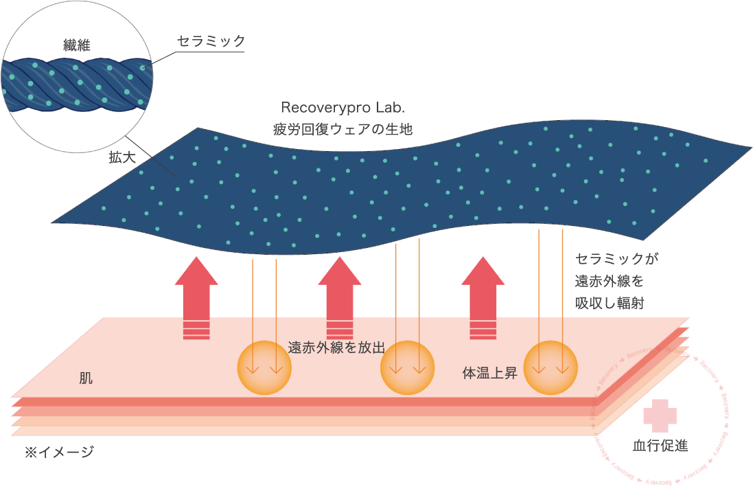 血行促進のイメージ図
